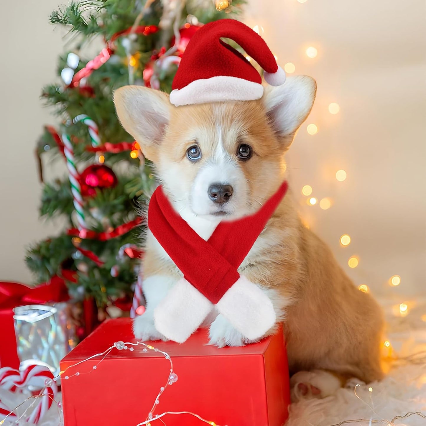 6 Pcs Christmas Santa Hat with Scarf Pet Costume Set Holiday Outfit Costumes Pets Santa Hat Scarf Set for Pet Small Cat Dog Puppy Christmas Party Costume Dress up Supplies