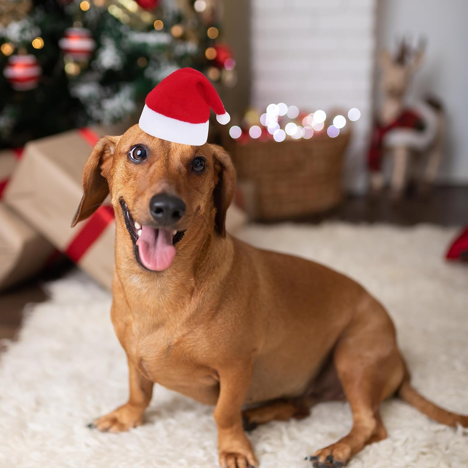 6 Pieces Pet Cat Dog Christmas Santa Hat Holiday Party Cute Costumes for Puppy Kitten Christmas Cosplay Dress up Supplies (Mixed Pattern)