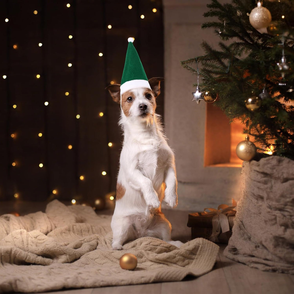 Adjustable Christmas Santa Hat for Dogs Cats, Mini Small Dog Cats Pet Santa Christmas Hat Party Decoration for Cat Small Dog Rabbit Puppy Doll Xmas Costume Accessories Outfit(Green)