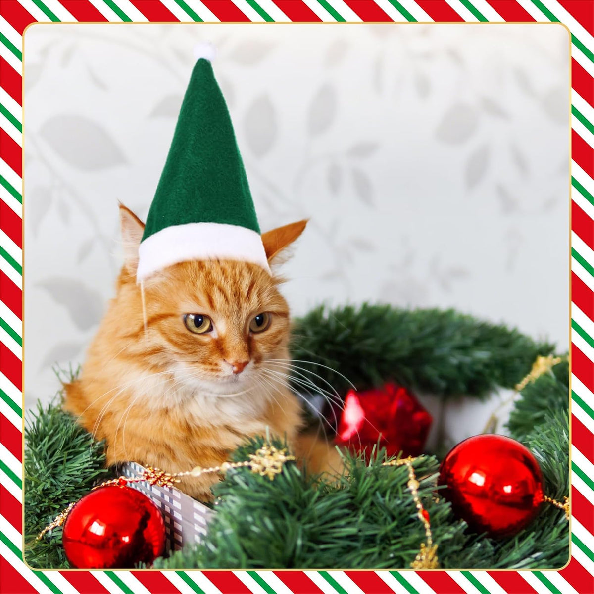 Adjustable Christmas Santa Hat for Dogs Cats, Mini Small Dog Cats Pet Santa Christmas Hat Party Decoration for Cat Small Dog Rabbit Puppy Doll Xmas Costume Accessories Outfit(Green)