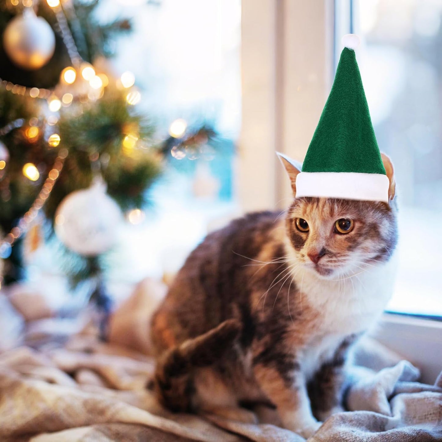 Adjustable Christmas Santa Hat for Dogs Cats, Mini Small Dog Cats Pet Santa Christmas Hat Party Decoration for Cat Small Dog Rabbit Puppy Doll Xmas Costume Accessories Outfit(Green)