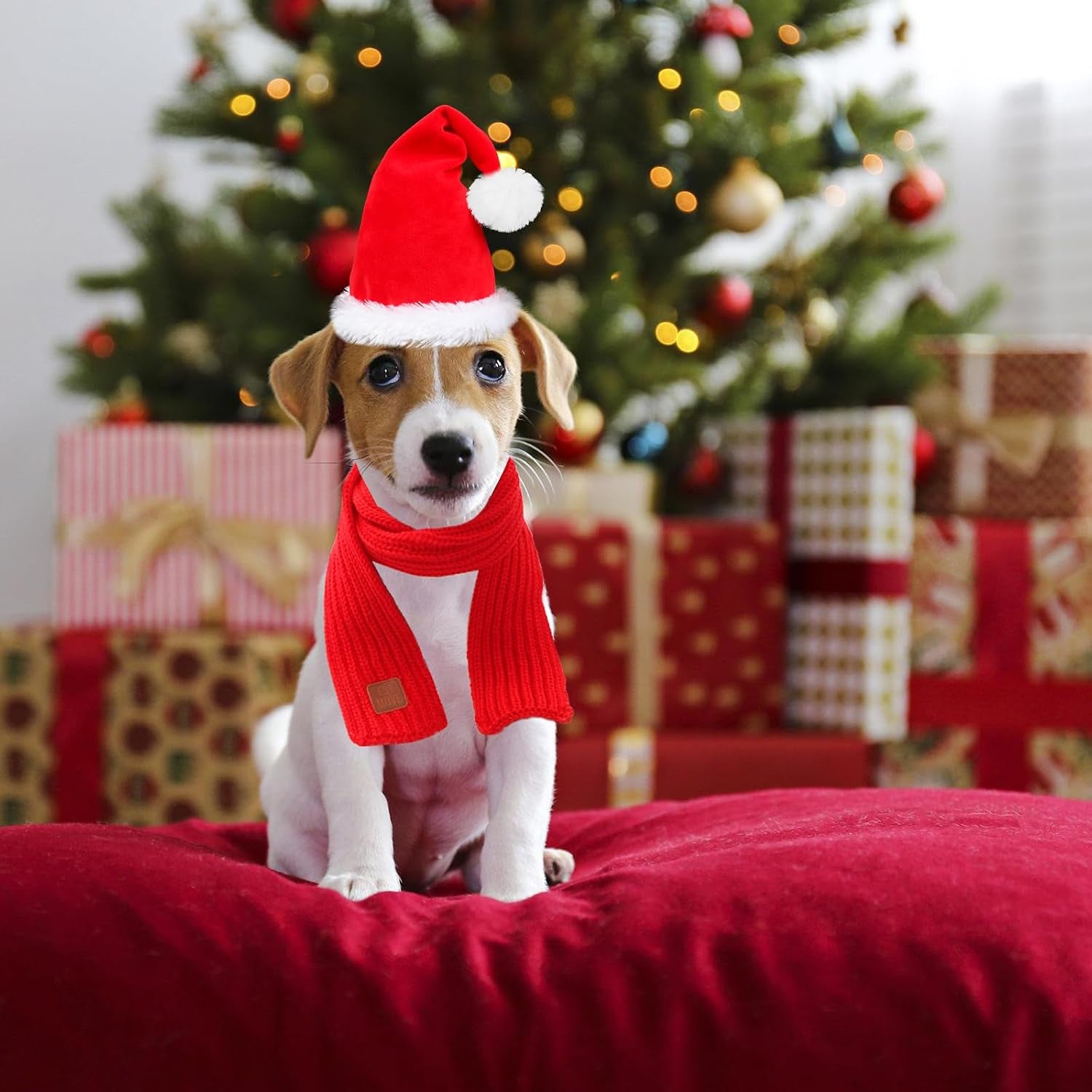 Dog Santa Hat and Scarf, Christmas Dog Costumes for Small Dogs & Cats
