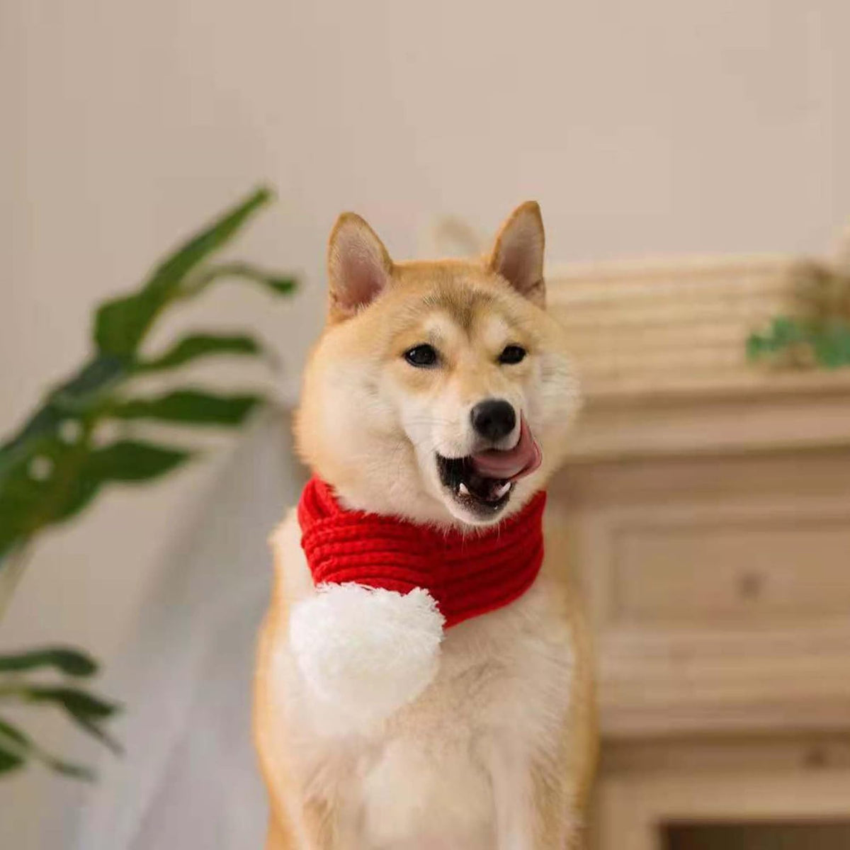 Pet Christmas Santa Scarf Outfit Costume for Small Large Dog,L