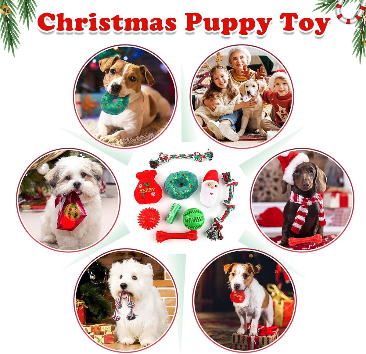 Christmas Dog Toys 9 Pack, Luxury Santa Puppy Chew Toy, Cotton Squeaky Plush Toys for Small Dogs, Durable Interactive Rope Treat Dog Ball and Bones, Rubber Teething Toys for Dogs Gifts