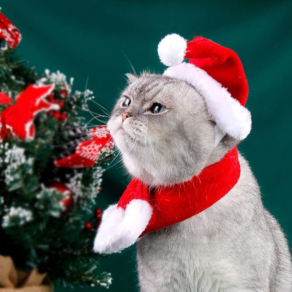 2PCS Cat Christmas Pet Costume for Kitten Christmas Costume Supplie