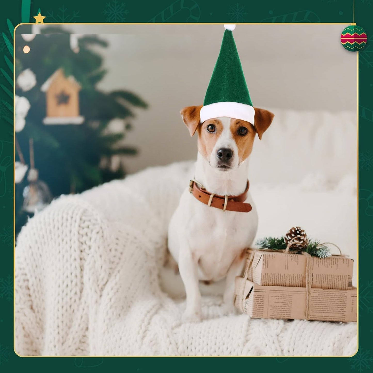 Adjustable Christmas Santa Hat for Dogs Cats, Mini Small Dog Cats Pet Santa Christmas Hat Party Decoration for Cat Small Dog Rabbit Puppy Doll Xmas Costume Accessories Outfit(Green)