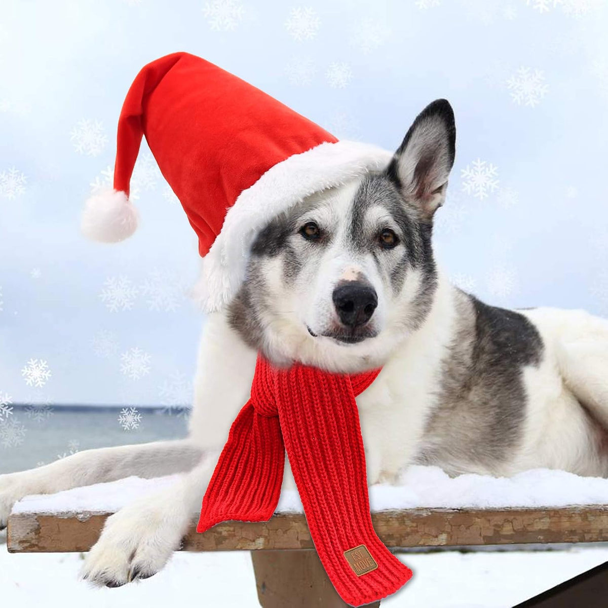 Dog Santa Hat and Scarf, Christmas Dog Costumes for Small Dogs & Cats