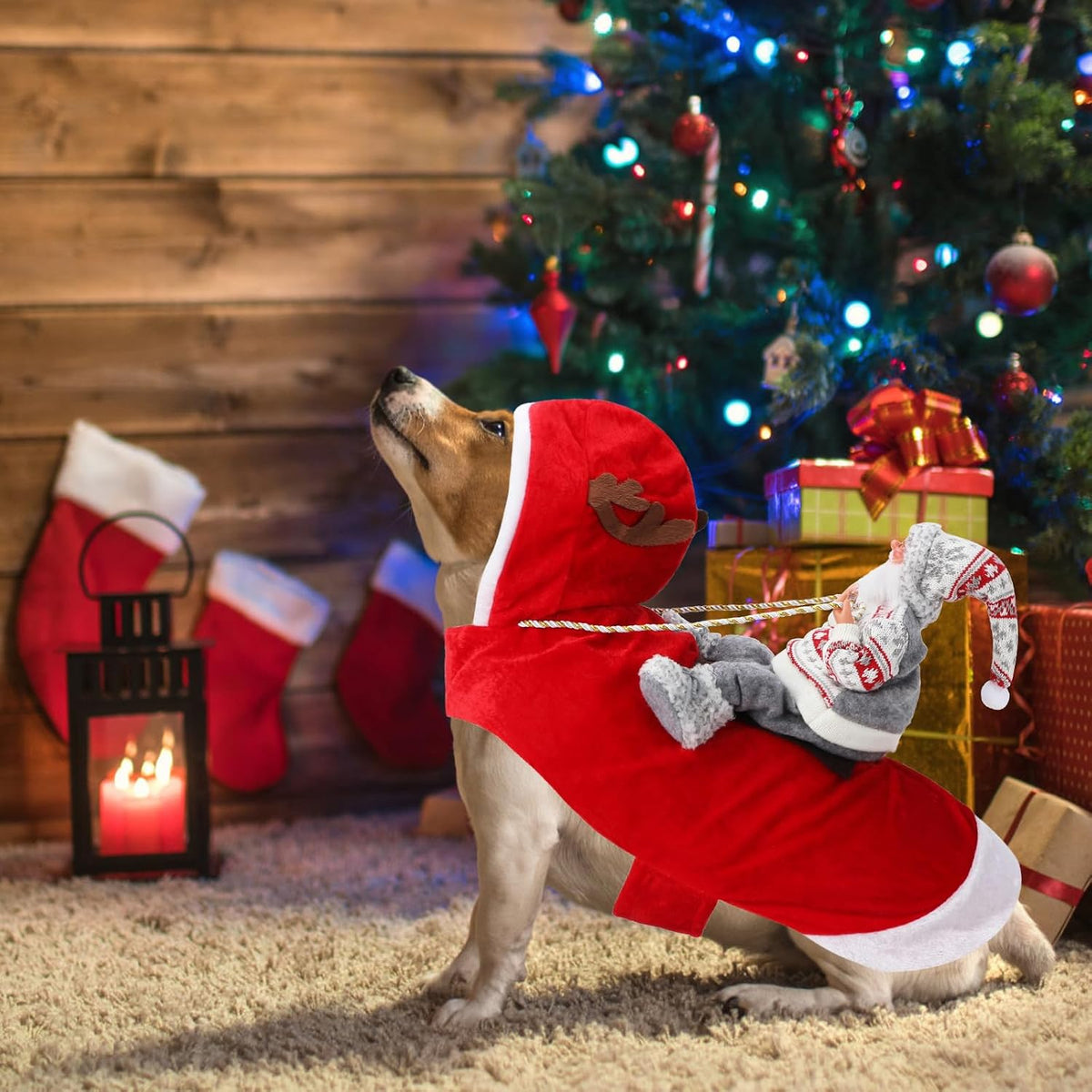 Santa Dog Costume, Dog Christmas Outfit, Riding Pet Costume, Size M