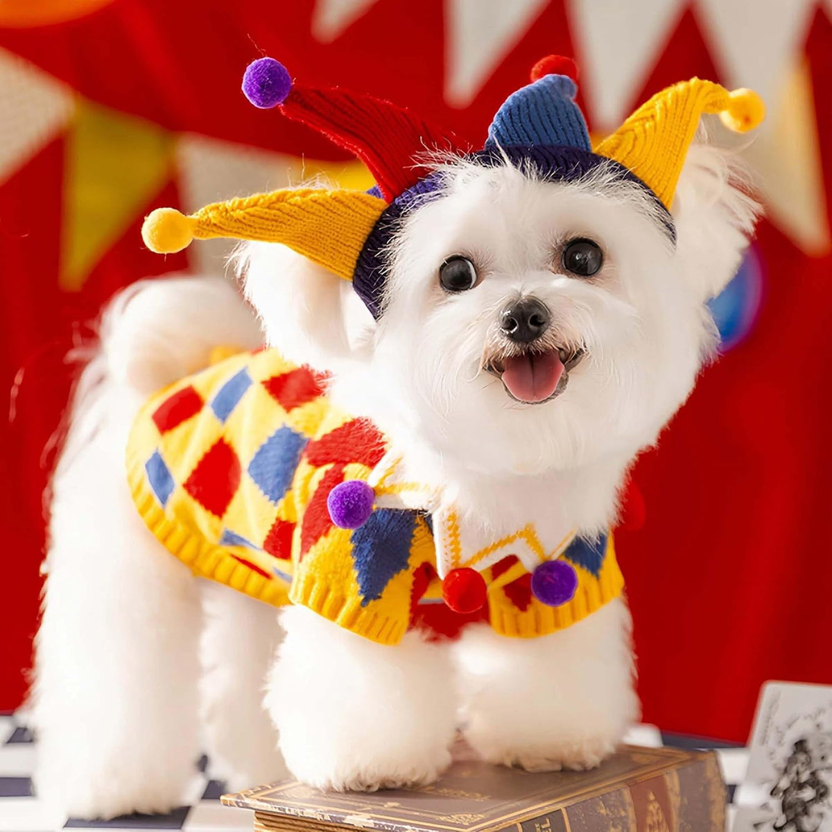 Dog Halloween Sweater Pet Circus Clown Costume with Joker Hat,Xl