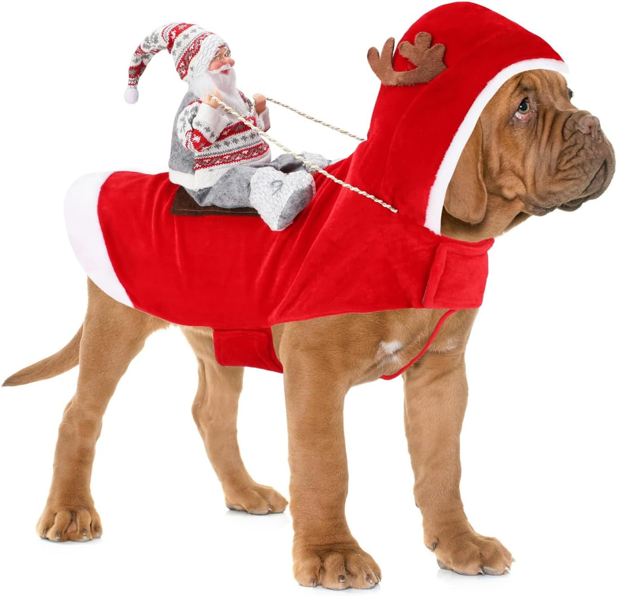 Santa Dog Costume, Dog Christmas Outfit, Riding Pet Costume, Size M