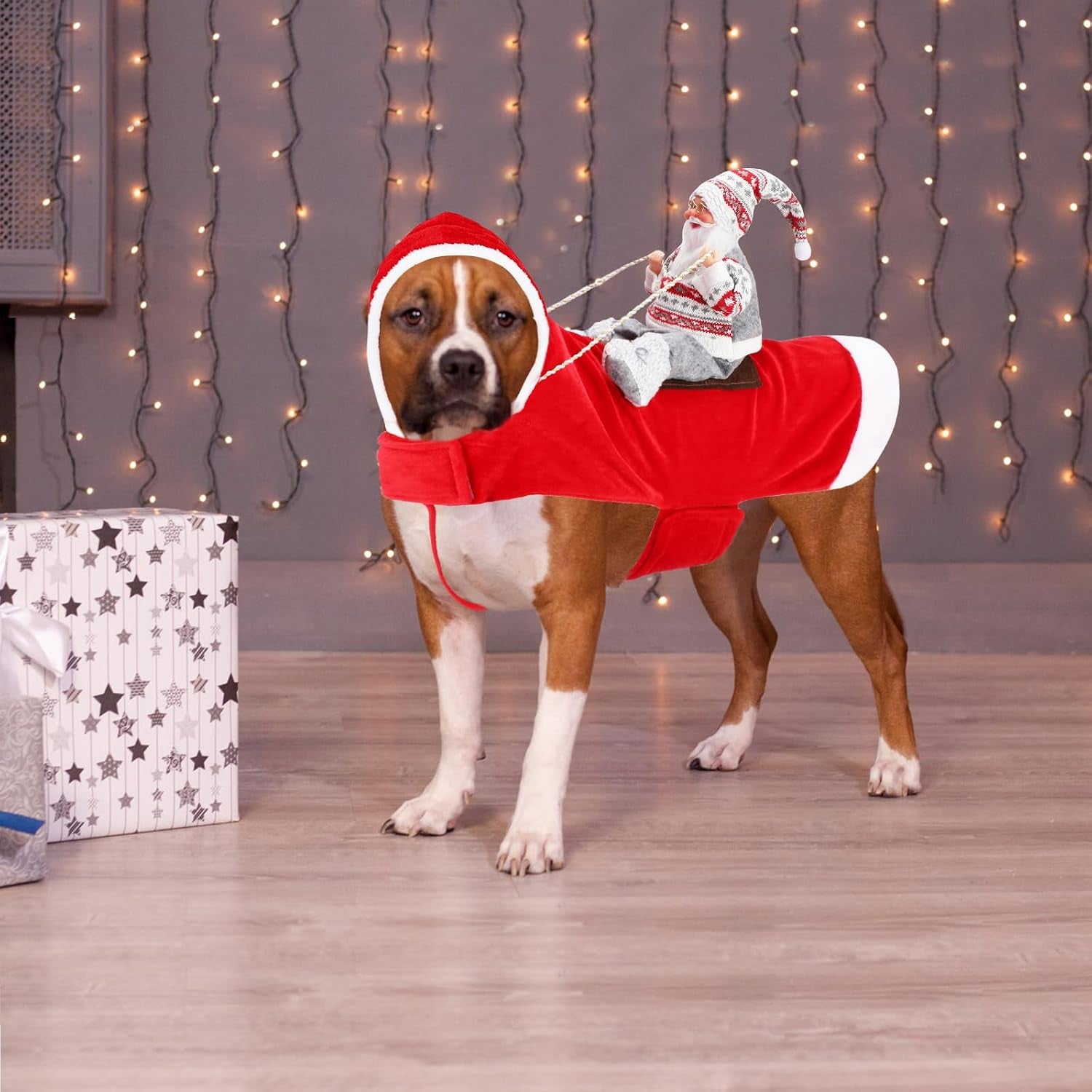 Santa Dog Costume, Dog Christmas Outfit, Riding Pet Costume, Size M