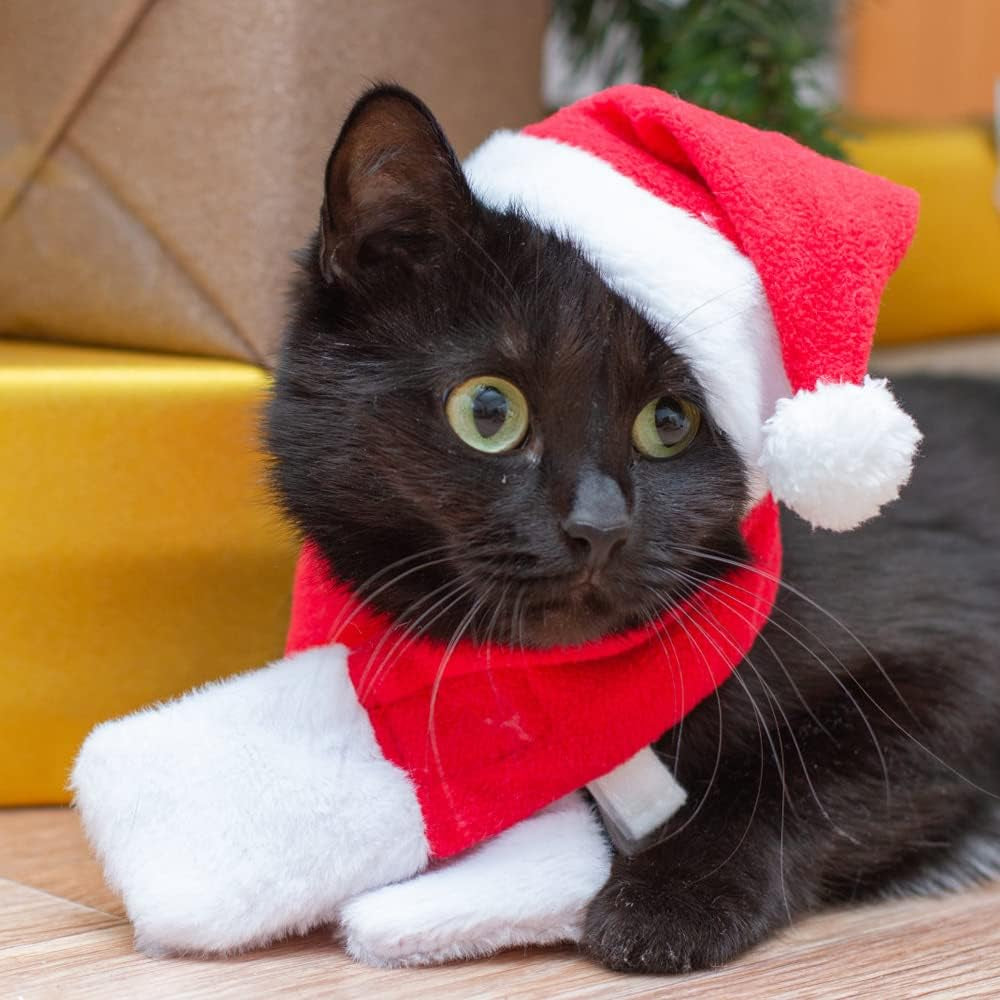 2PCS Cat Christmas Pet Costume for Kitten Christmas Costume Supplie