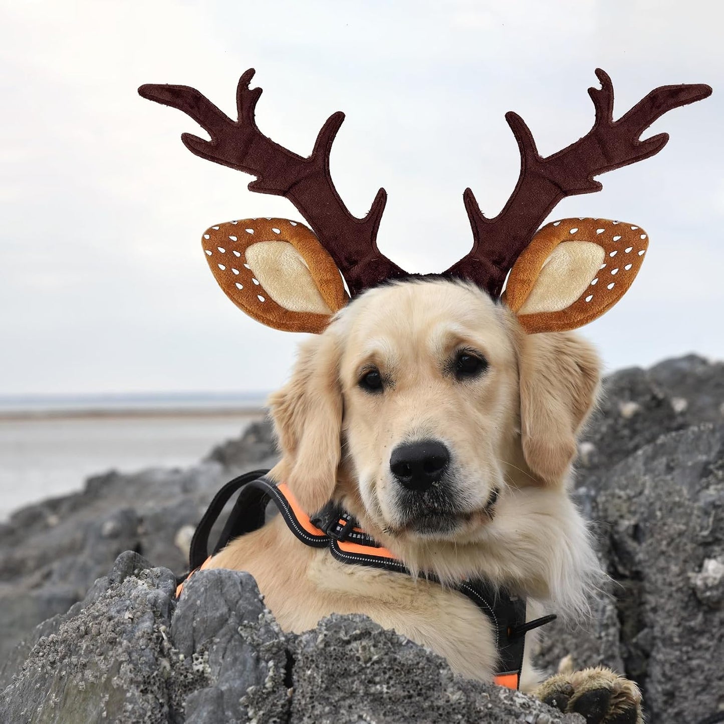 Dog Cat Christmas Reindeer Antlers Headband Classic Adjustable Elk Hat Headwear Pet Deer Cospaly Costumes Accessories (L(For Medium Big Dogs))