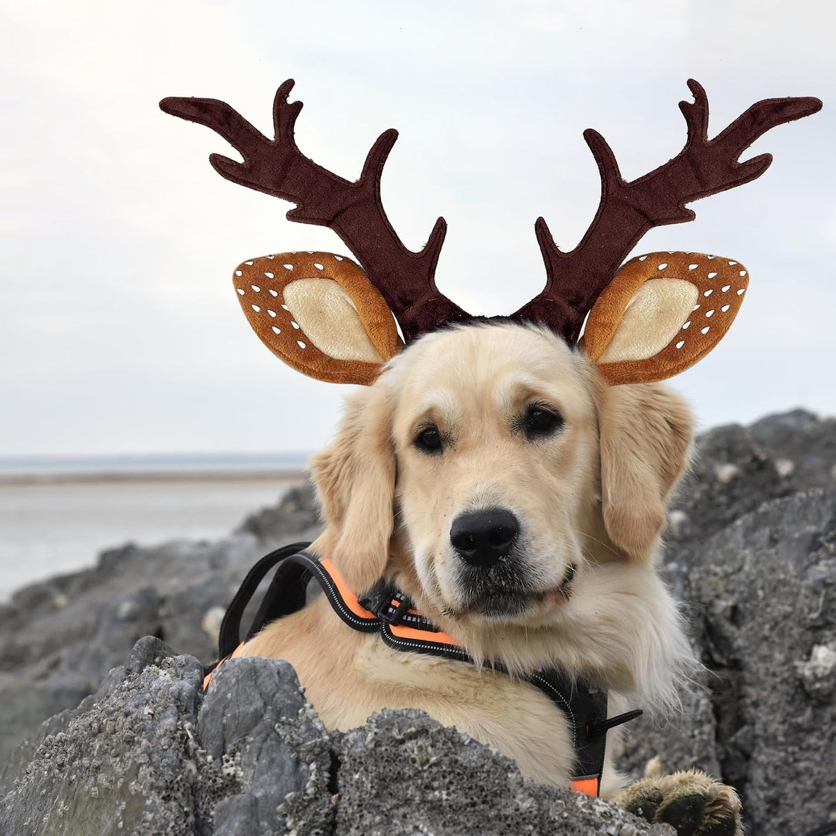 Dog Cat Christmas Reindeer Antlers Headband Classic Adjustable Elk Hat Headwear Pet Deer Cospaly Costumes Accessories (L(For Medium Big Dogs))