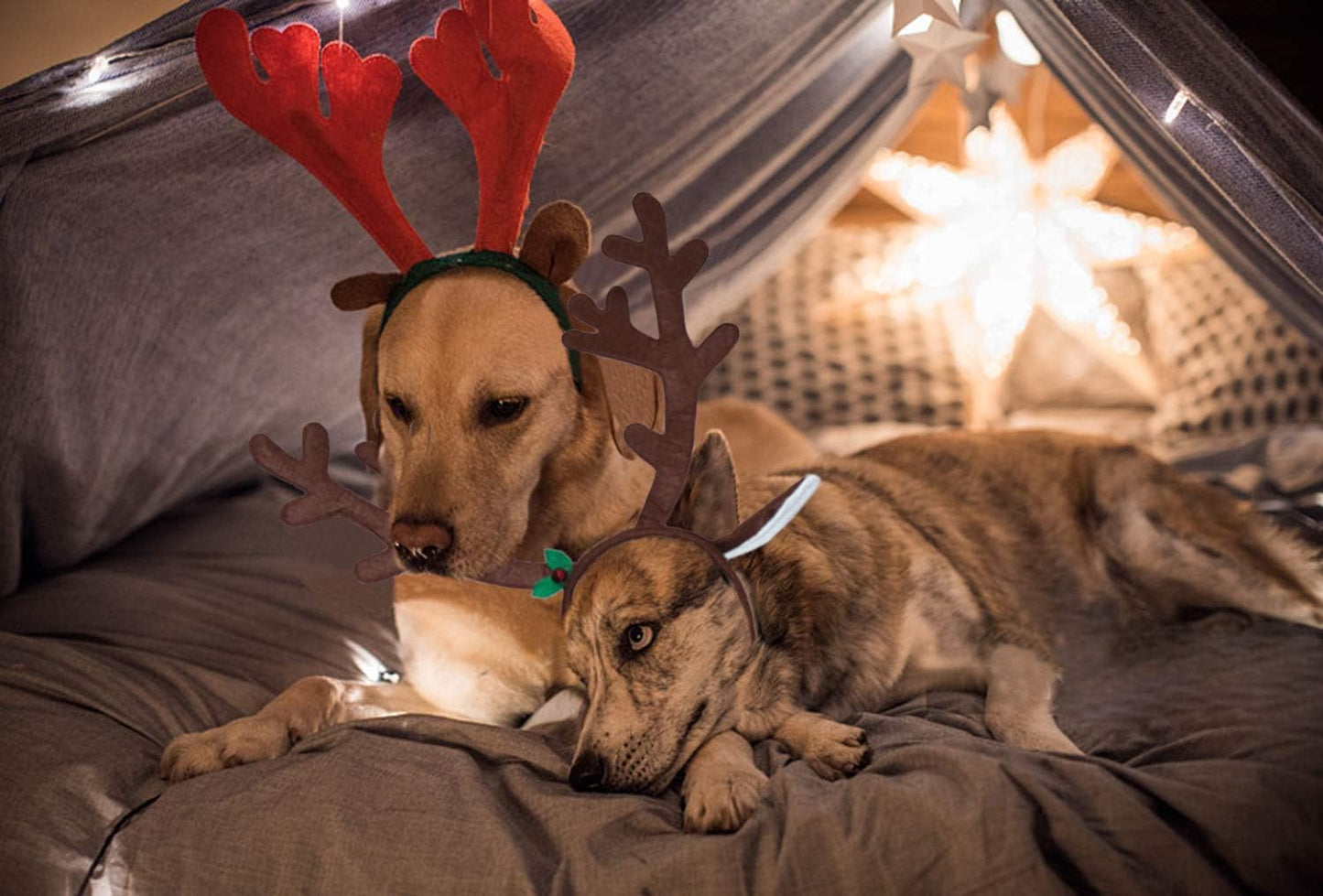 Dog Reindeer Antlers Costume, Christmas Headband Set for Large Dogs