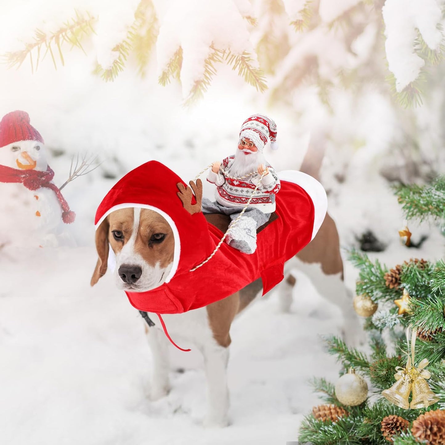 Santa Dog Costume, Dog Christmas Outfit, Riding Pet Costume, Size M